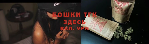 MESCALINE Елизово