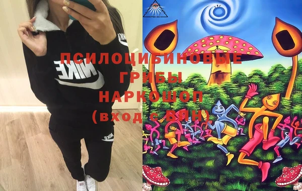 MESCALINE Елизово